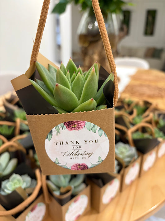 Succulent Event Favors & Corporate Gifts | Eco-Friendly Plant Gifts