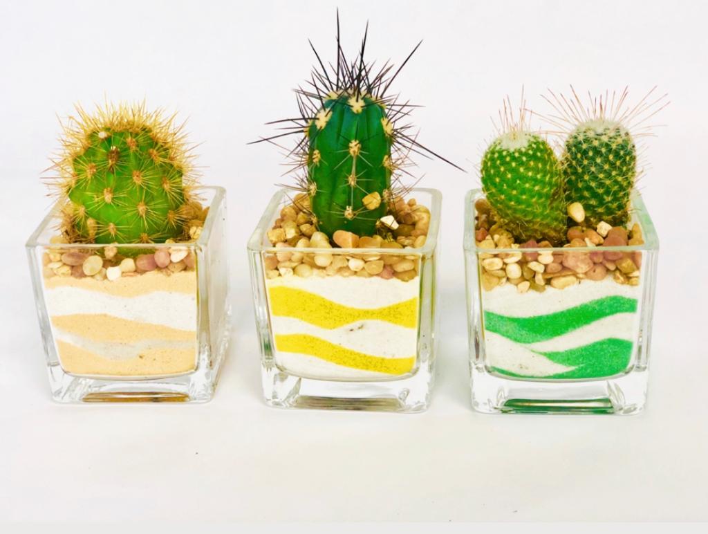 Event/Wedding Favour