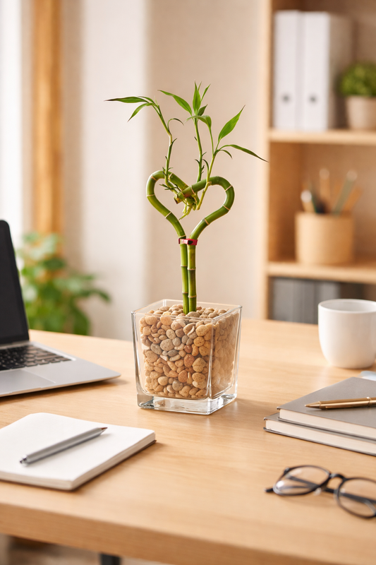 8â Heart Shaped Bamboo Stems (pot not included)