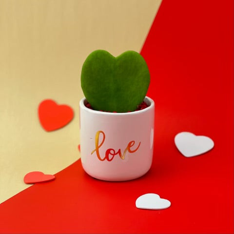 Event/Wedding Favour