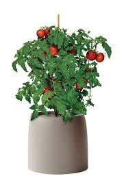 Root Farm ( a complete Hydroponic system)