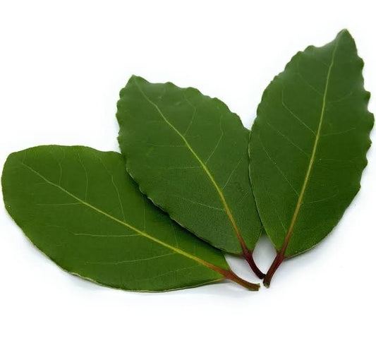Bay leaf (Bay laurel )