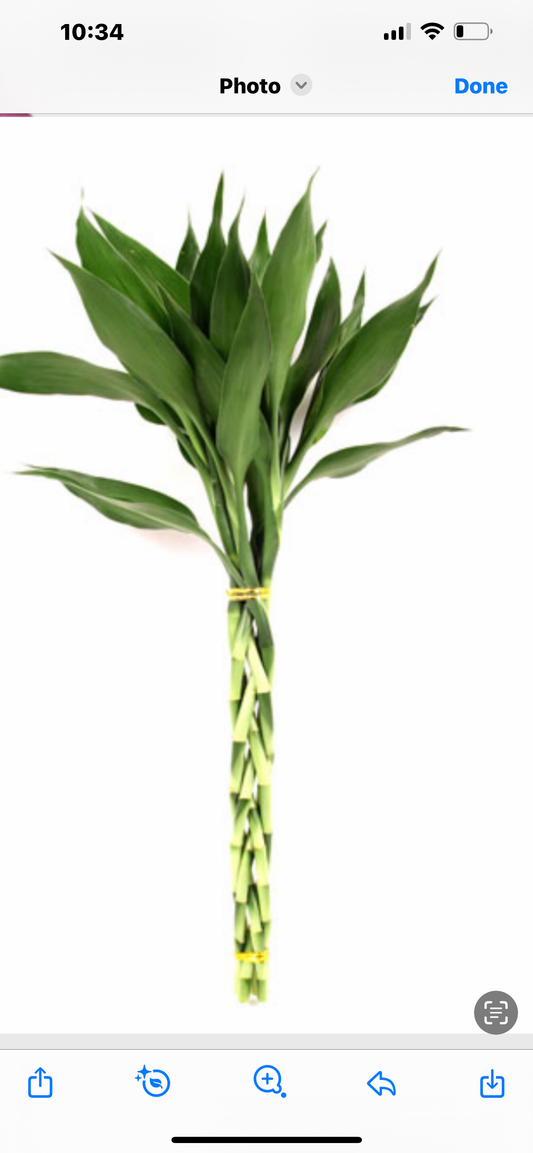 Braided Cobra Bamboo 5/9sticks