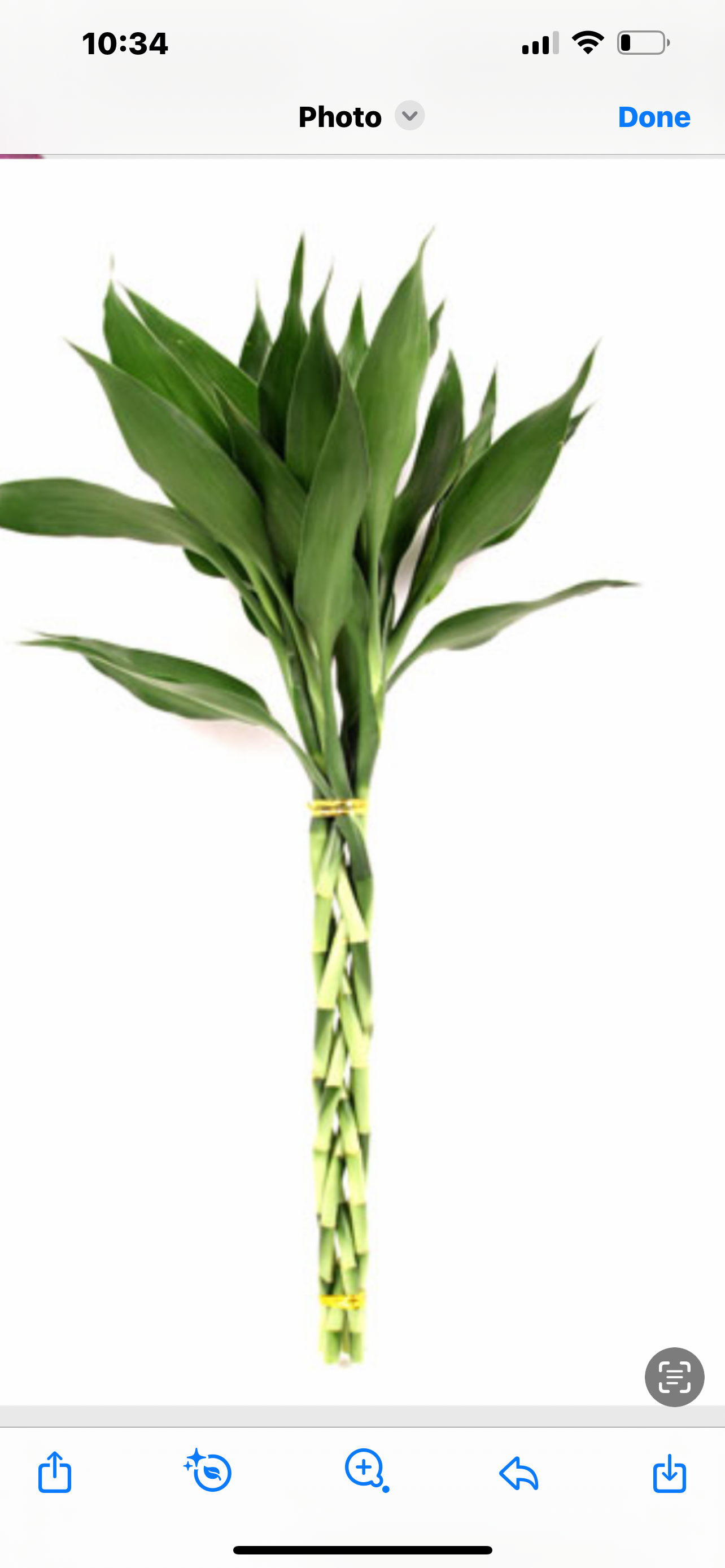 Braided Cobra Bamboo 5/9sticks