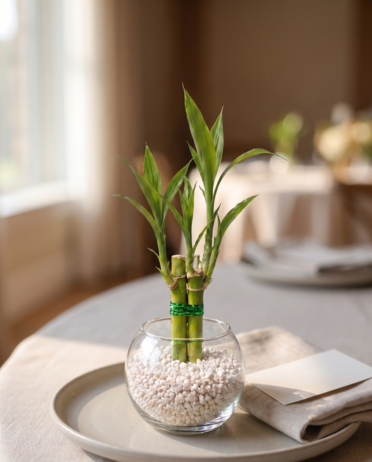 Lucky bamboo glass favor on a linen event table