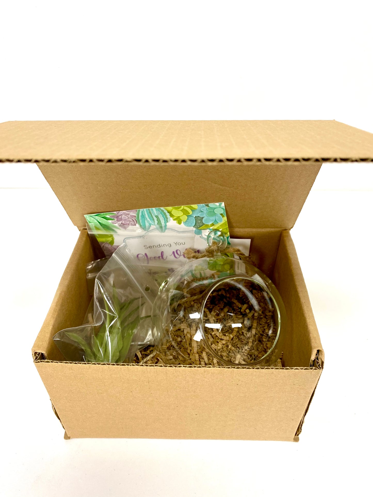 Hanging Terrarium DIY Plant Gift Box