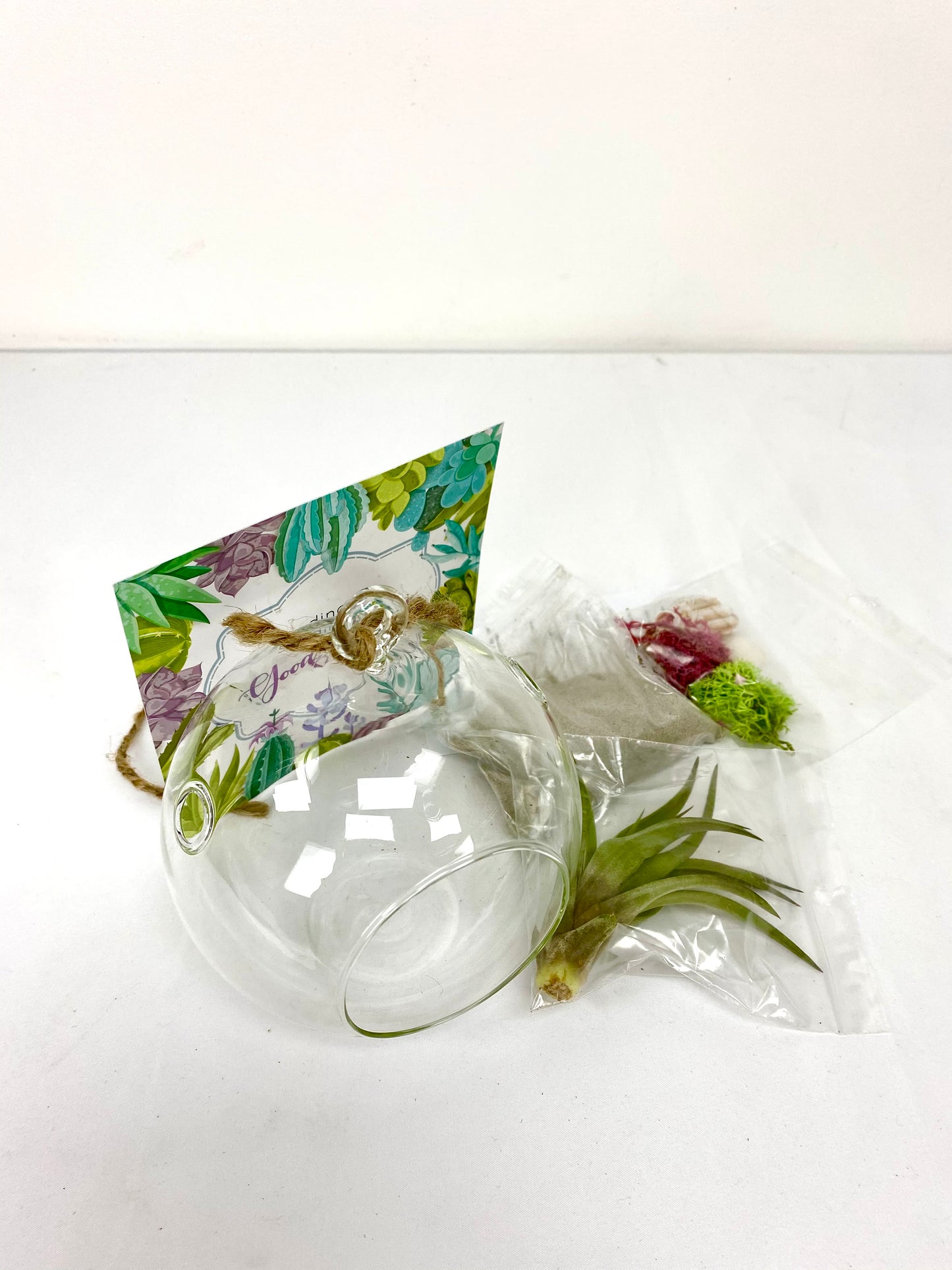 Hanging Terrarium DIY Plant Gift Box