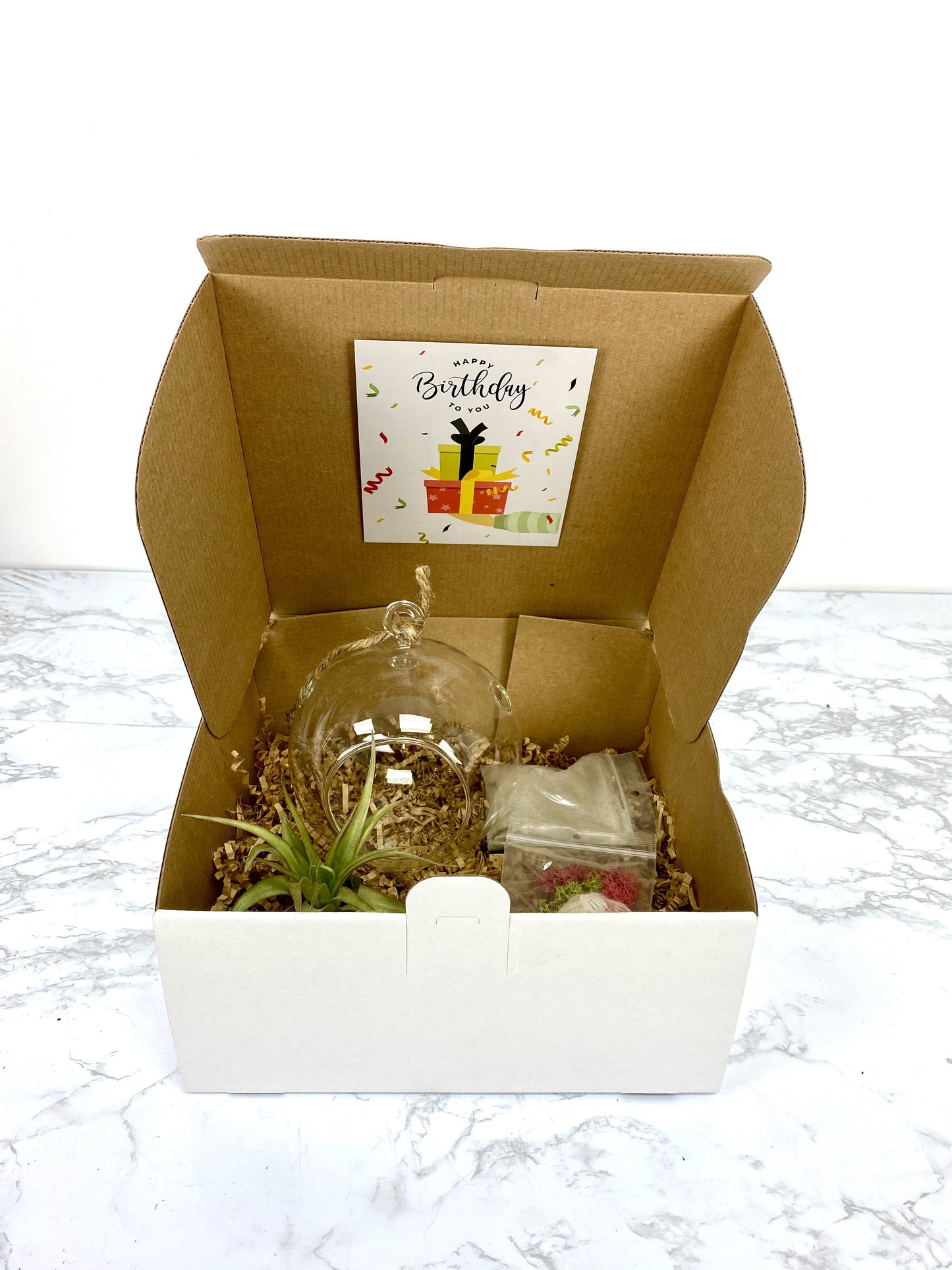 Hanging Terrarium DIY Plant Gift Box