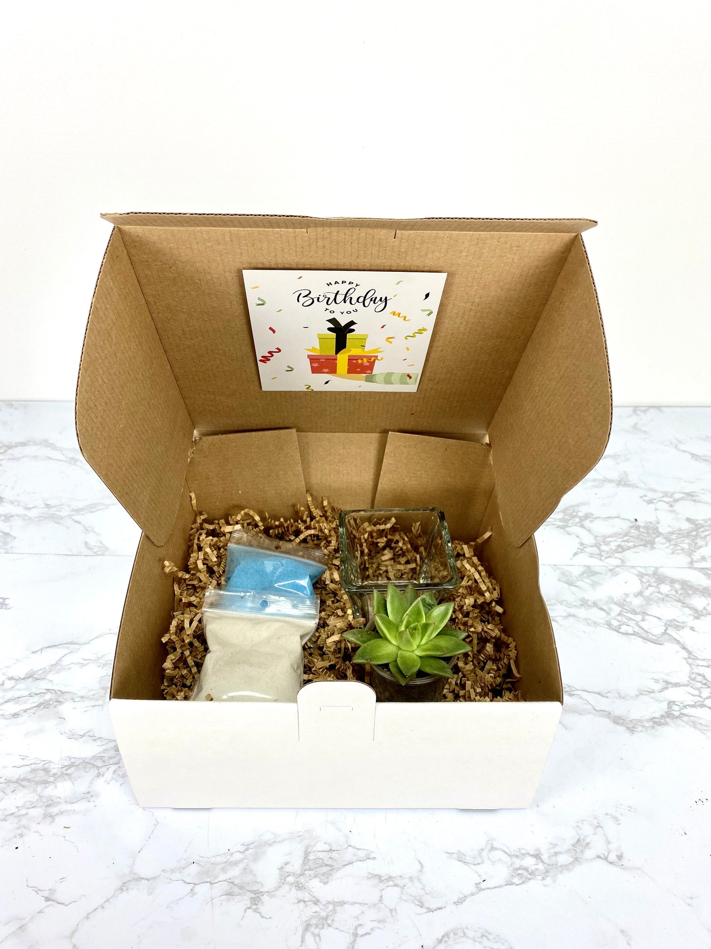 Sand Succulent DIY Plant Gift Box