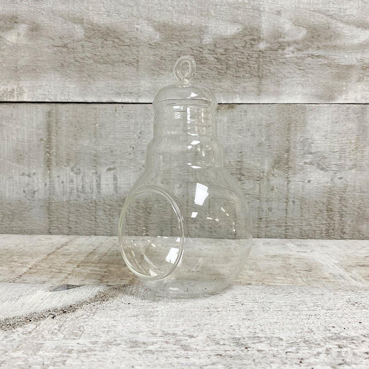 6" Glass Bulb Vase - Geoponics Inc
