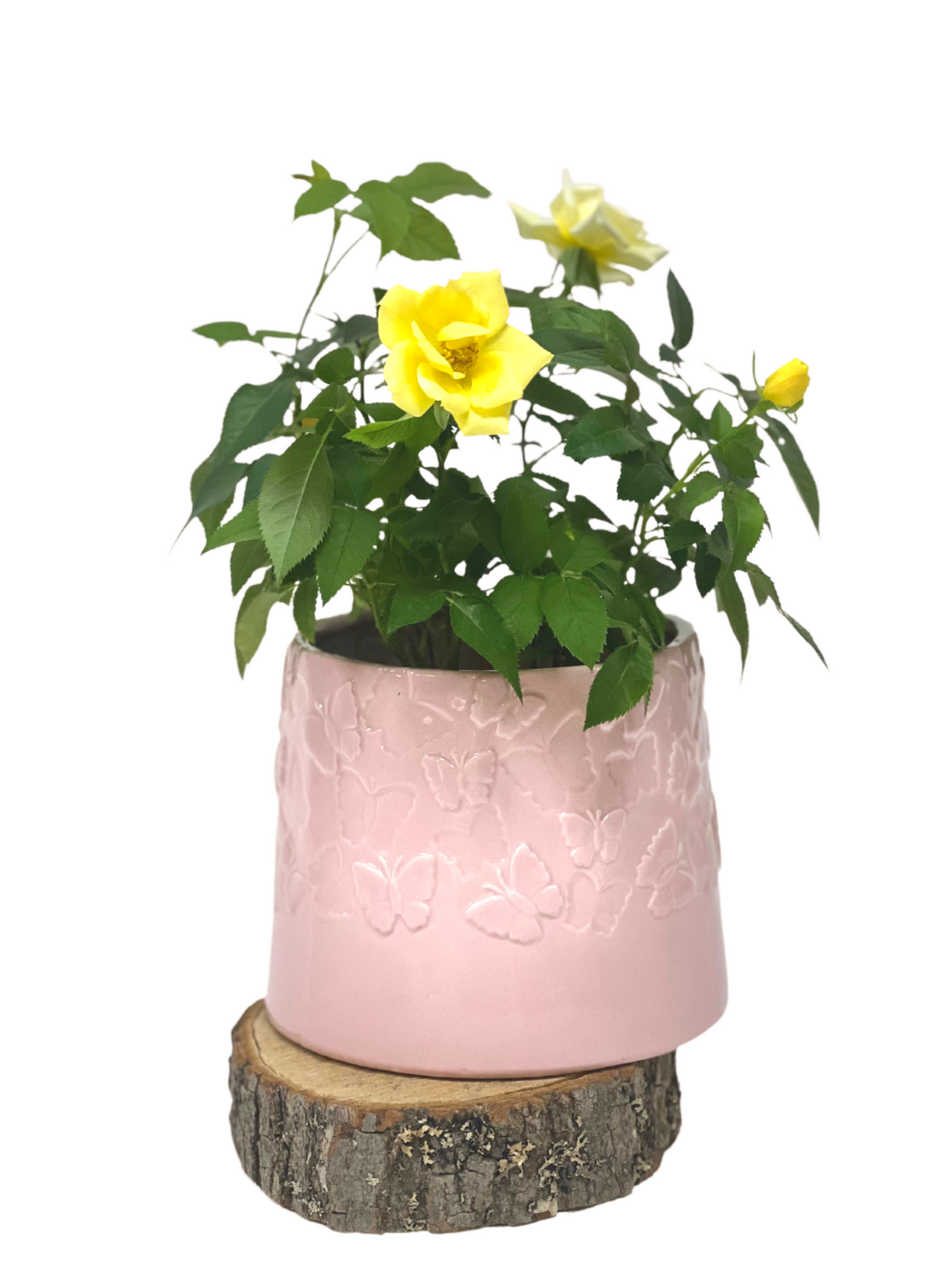 Pink Butterfly Design Planter