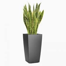 Tall square black planter (poly fiber stone)