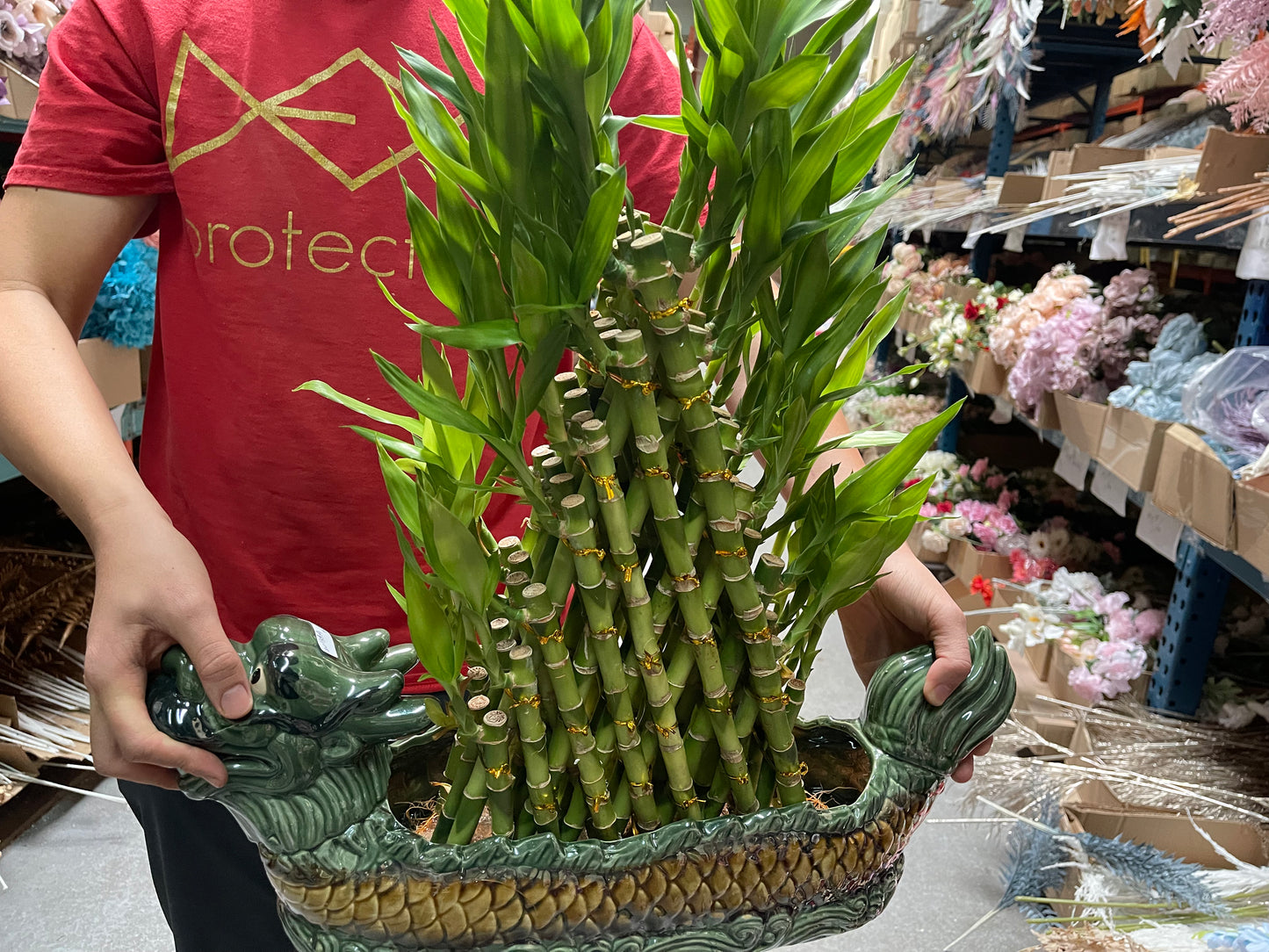 Dragon large with bamboo