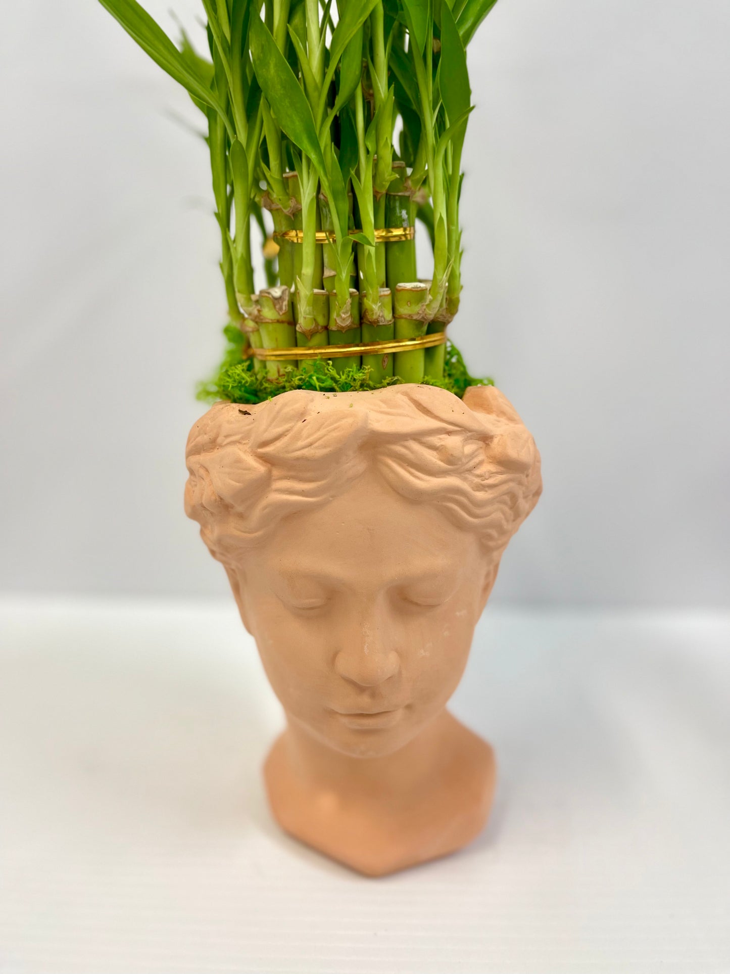 Queen Of Hearts-Valentine Edition