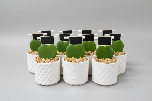 Event Favours