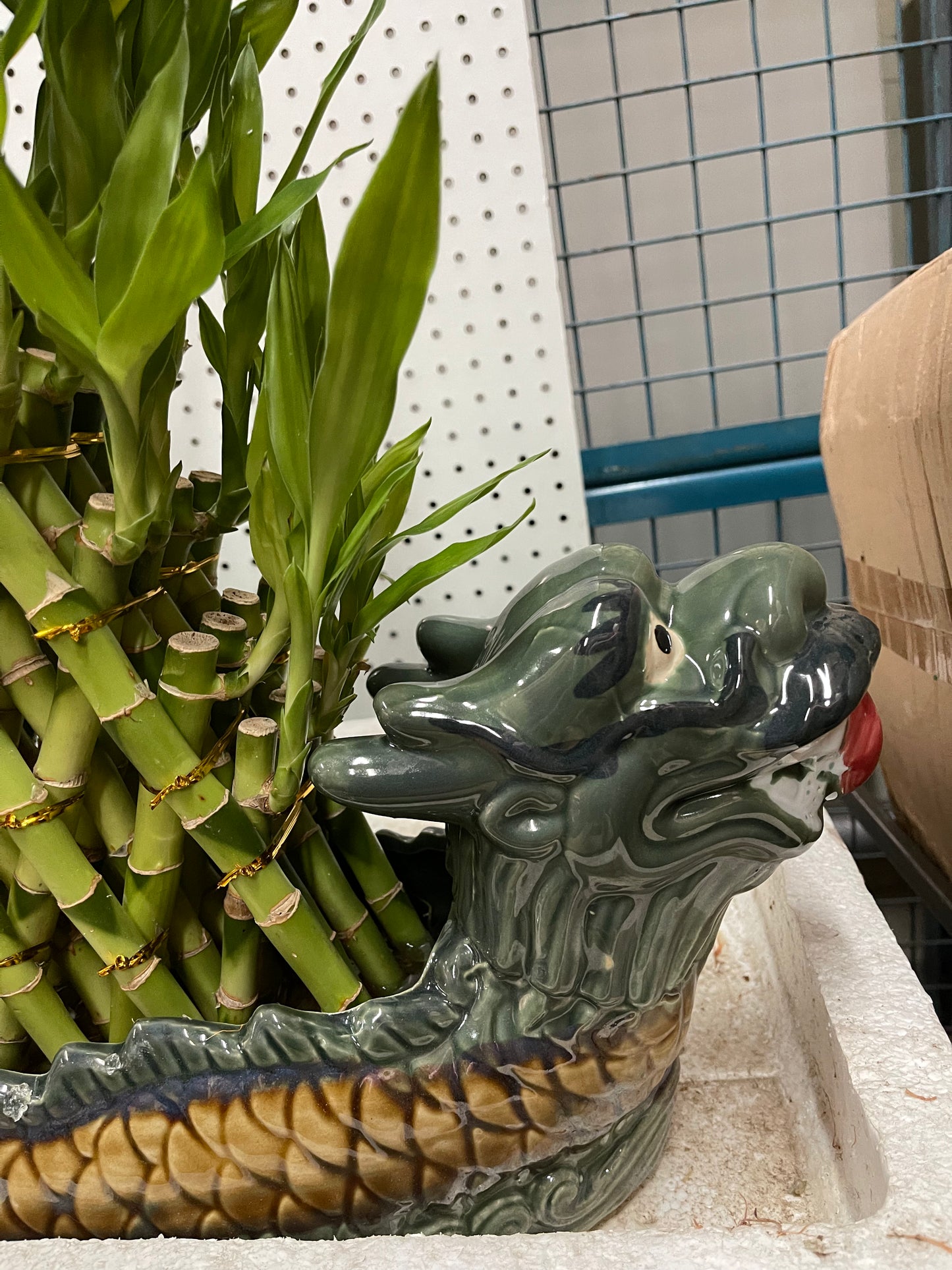 7 /5 layer pyramid lucky bamboo(Dragon pot)
