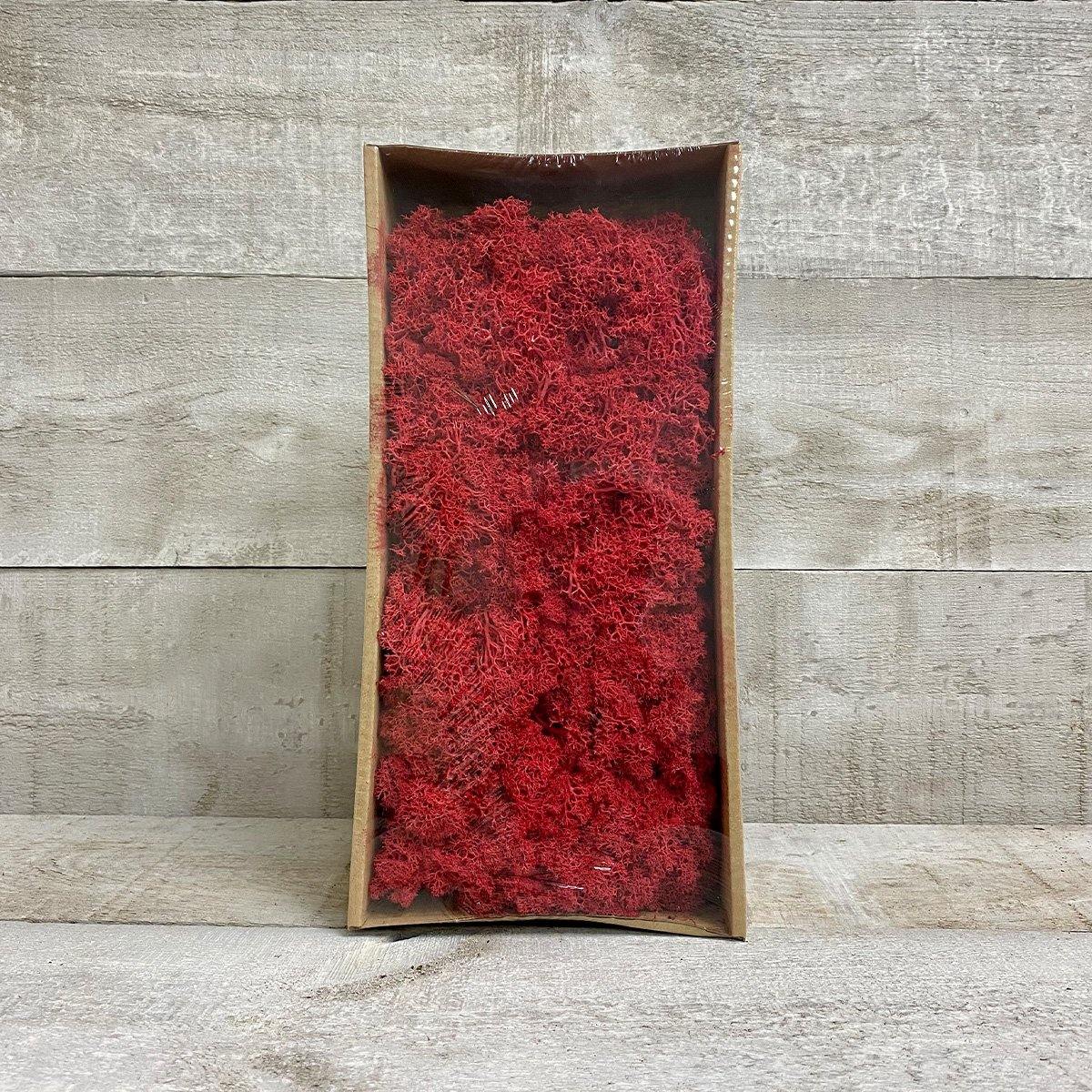 Moss (Multi-colour) - Geoponics Inc