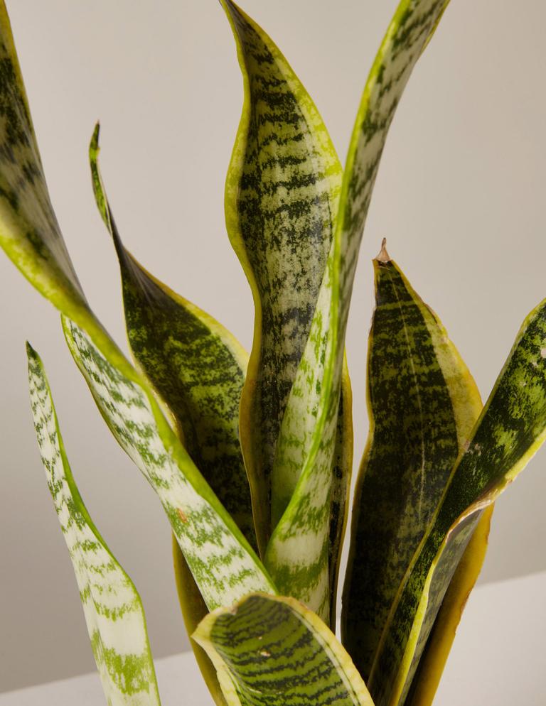 The Vertical Space Bundle