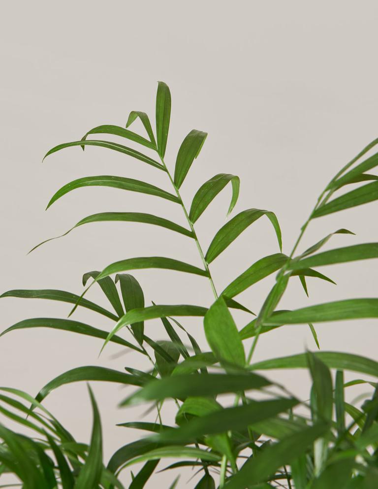 The Vertical Space Bundle