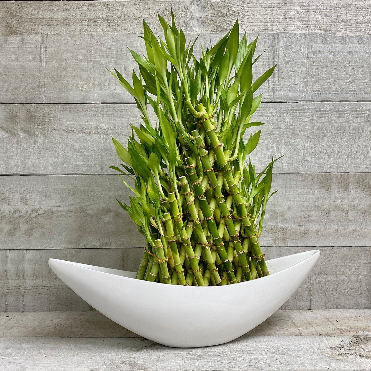 White Ship Planter - Geoponics Inc