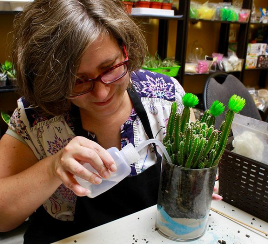 Best Time to Water Your Plants - Plant Club | Geoponics