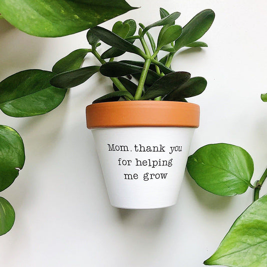 The Perfect Mothers Day Gift