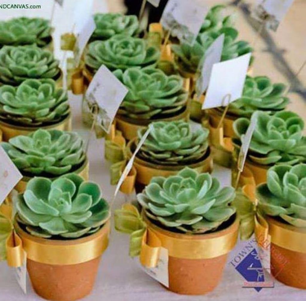 Event/Wedding Favour