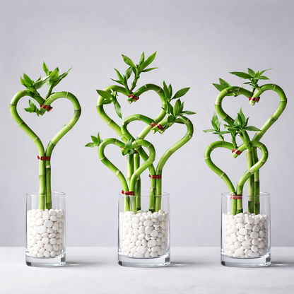8” Heart Shaped Bamboo Stems (pot not included)