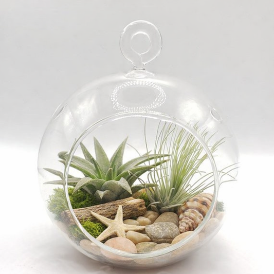 House Plant Workshops – Learn Indoor Gardening, Plant Care & DIY Planting Classes