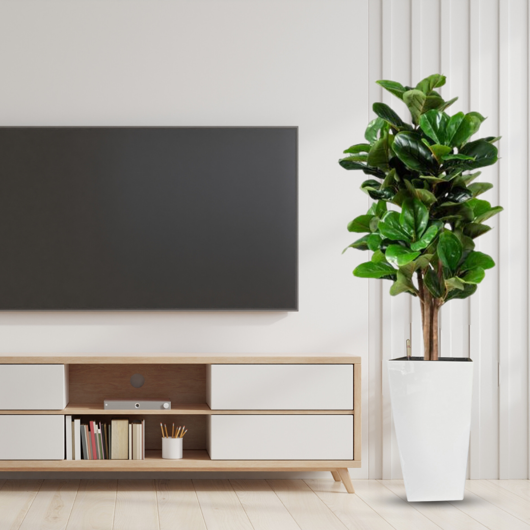 Self-Watering Tapered Square Planter