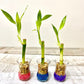 Event Favours