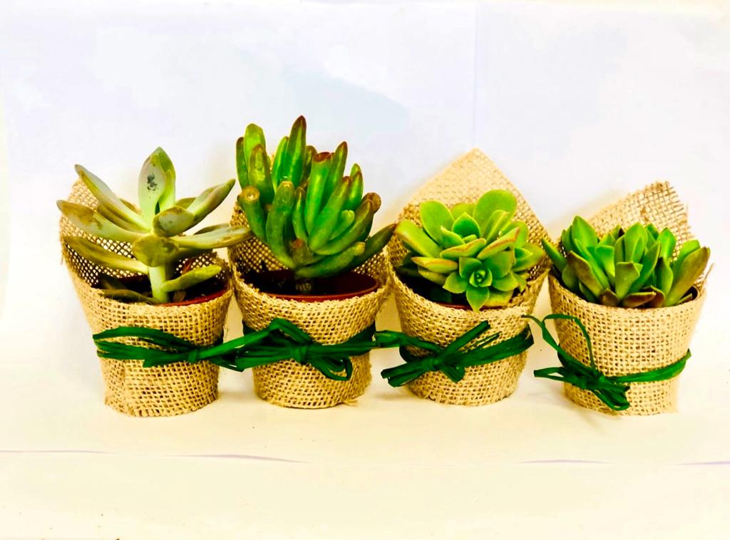 Event Favours