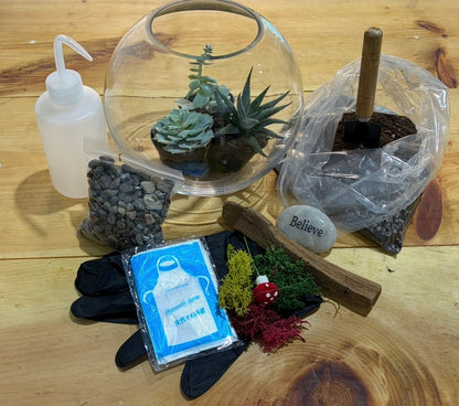 DIY Succulent Terrarium Kit