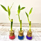 Event Favours
