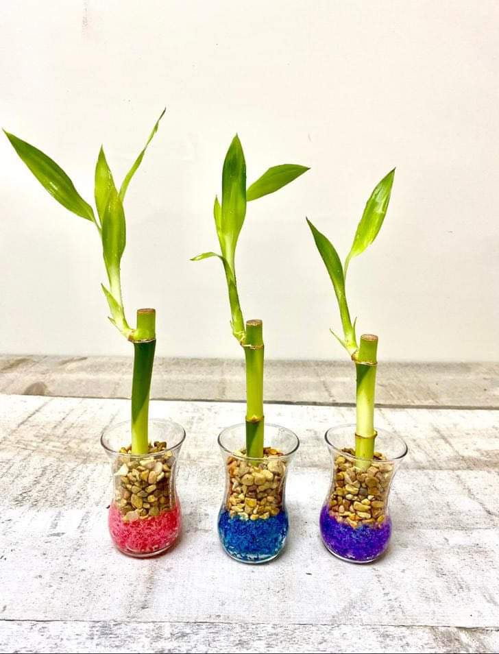 Event Favours