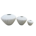 Sandstone Cactus Pot – White & Black