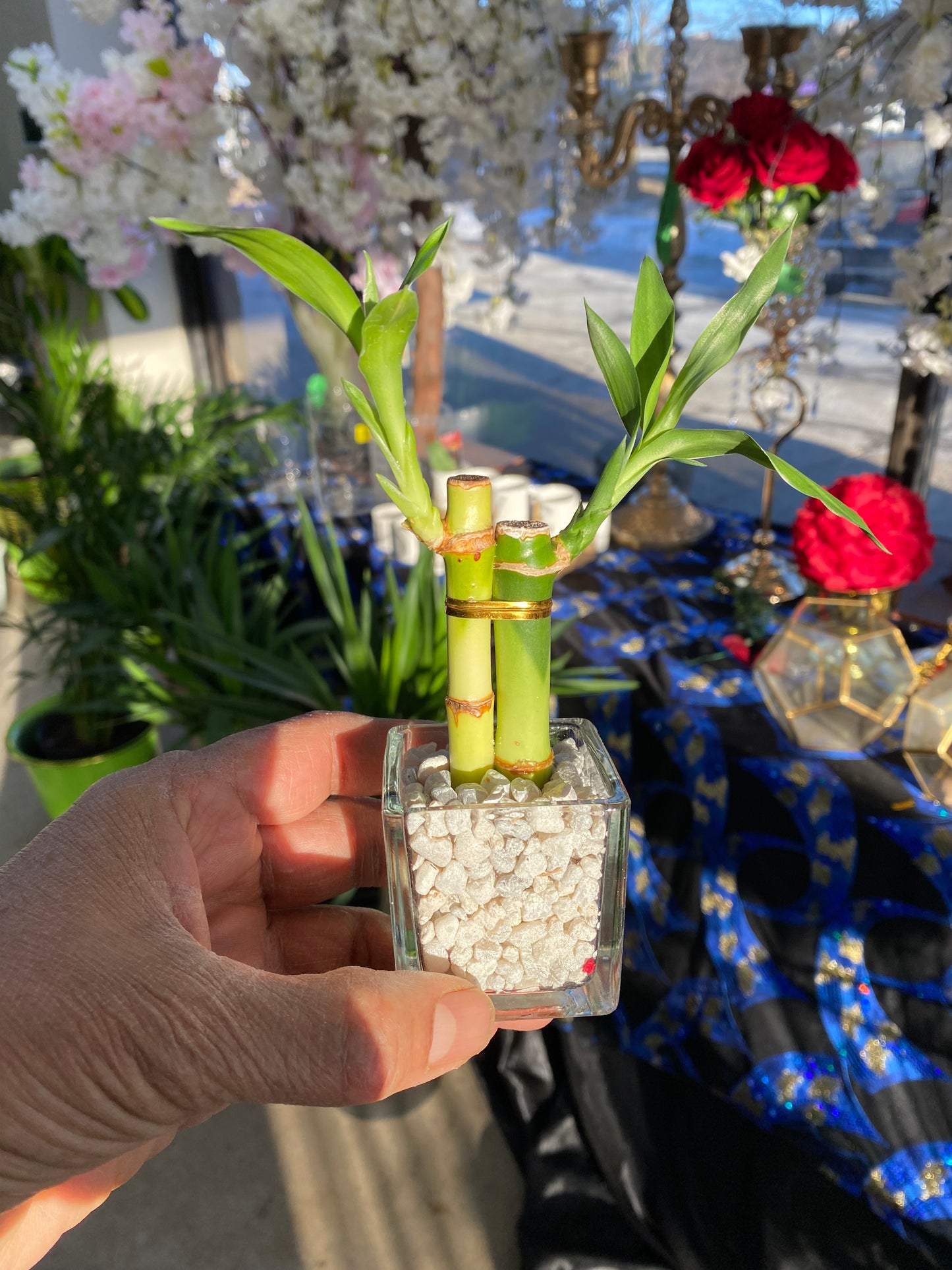 Event Favours