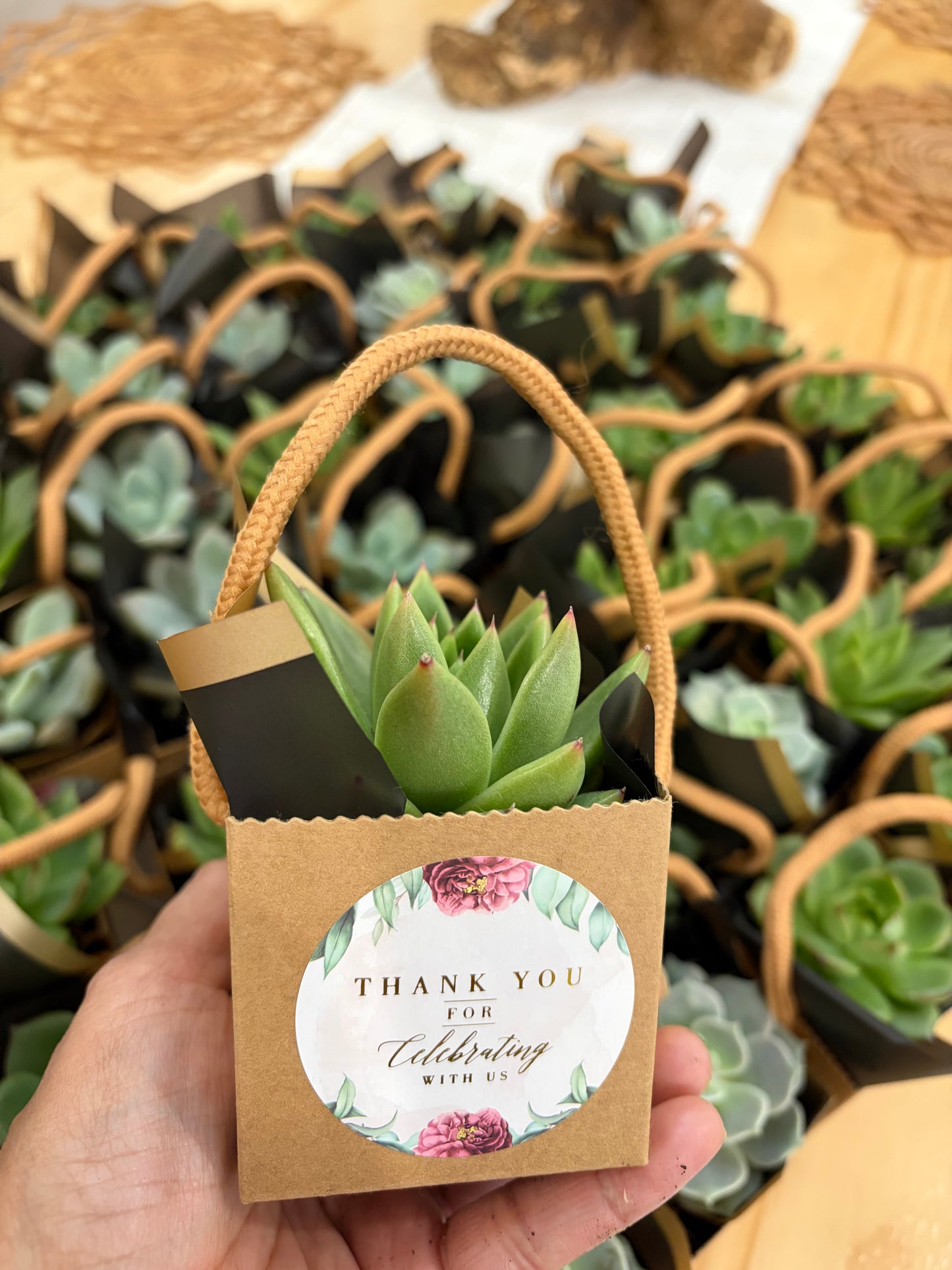Succulent Event Favour