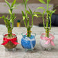 Event/Wedding Favour