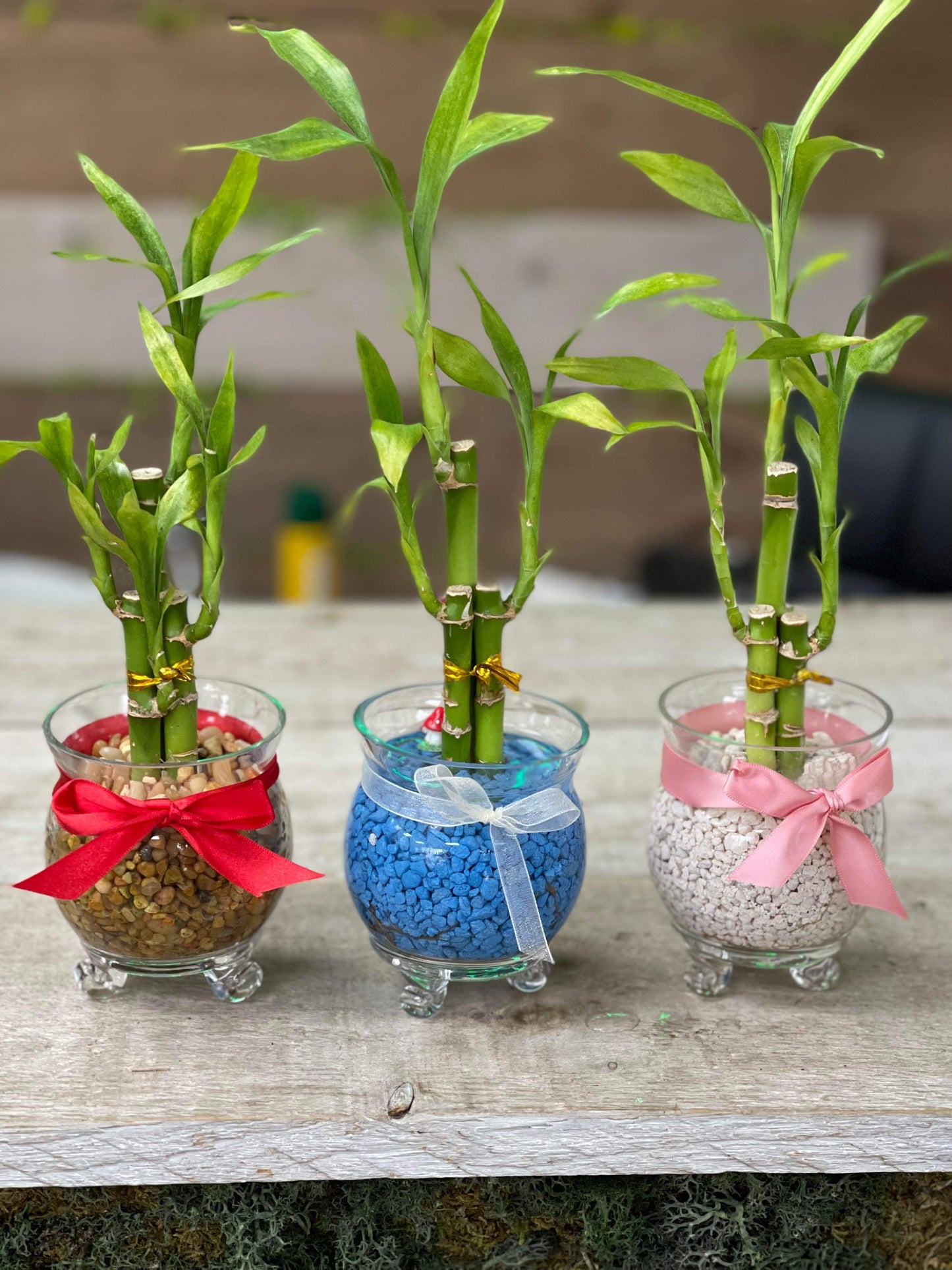 Event/Wedding Favour