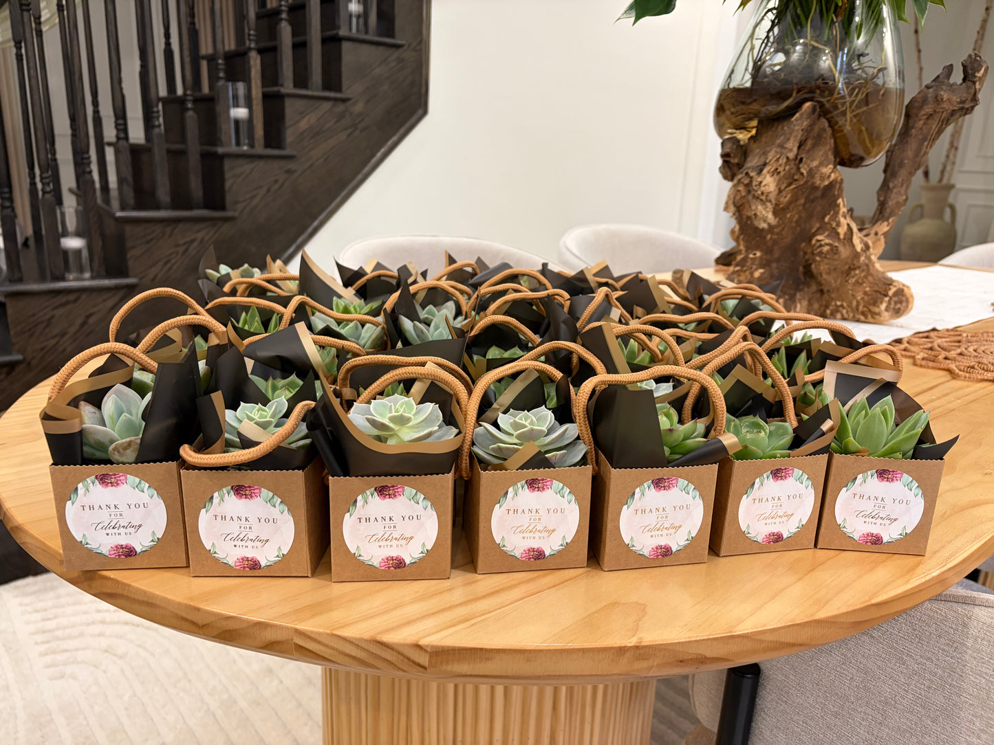 Succulent Event Favour