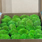 Pillow preserved moss (42 pieces)