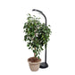 Grow light (Standing LED Plant grow Lamp/light)