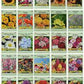 Flower/ vegetable seeds