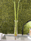 3 feet straight lucky bamboo small leaves ( bundle of three)vase not included