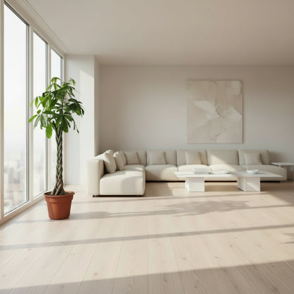 Potted plant with twisted trunk against a textured white wall