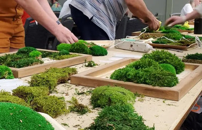 House Plant Workshops – Learn Indoor Gardening, Plant Care & DIY Planting Classes