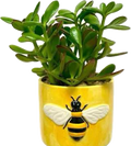 Bee Ceramic Pot – Yellow