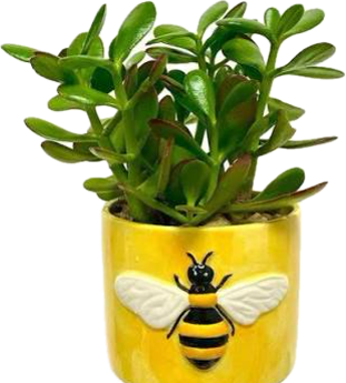Yellow ceramic pot with a raised bee, 5 by 5 inches