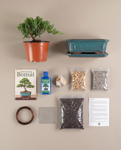 Juniper Bonsai Starter Kit contents, flat lay